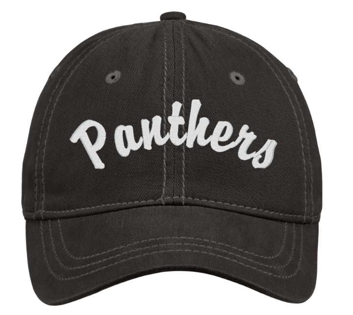 Panthers Hat (Embroidered) Can Be Personalized!