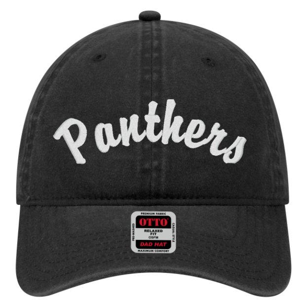 Panthers Hat (Embroidered) Can Be Personalized!