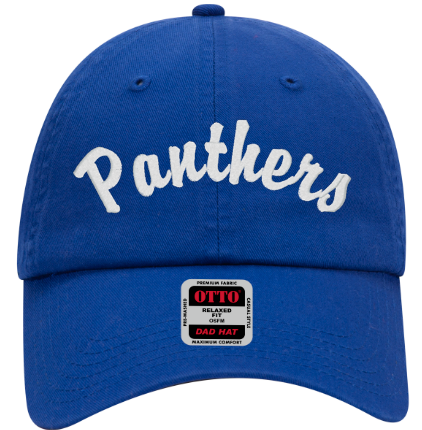 Panthers Hat (Embroidered) Can Be Personalized!